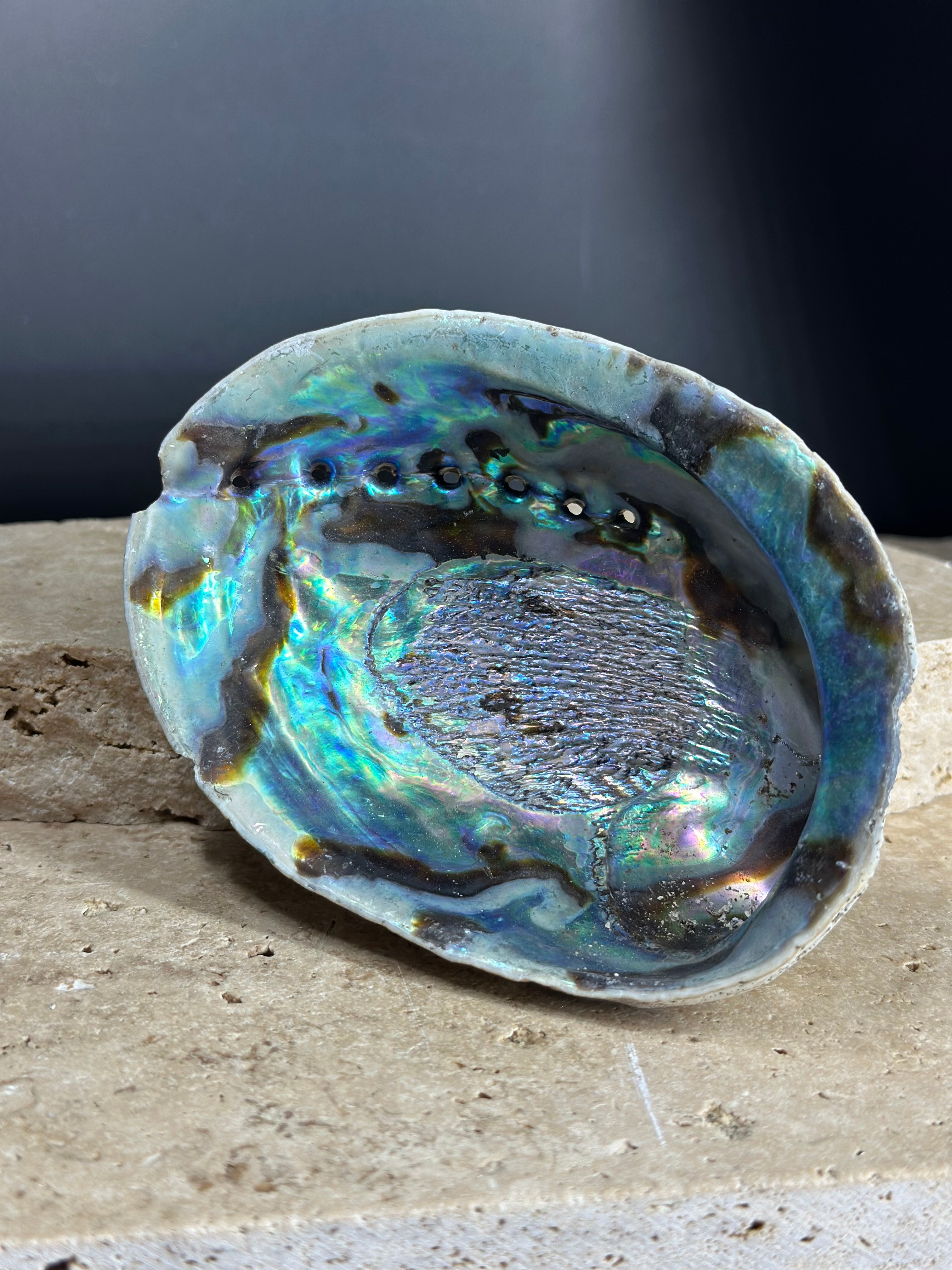Abalone Shell – Soul and Solstice